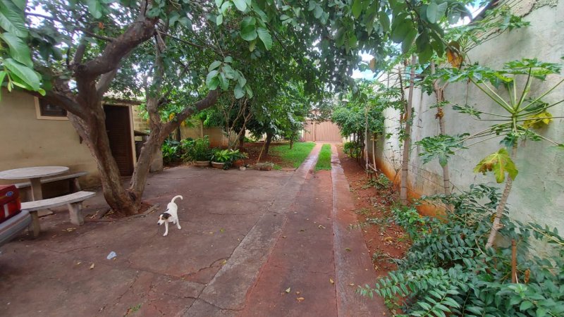 Casa - Venda - Vila Tibrio - Ribeiro Preto - SP