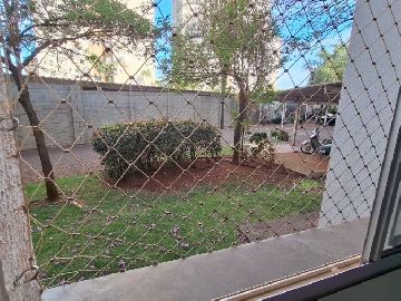 Jardim