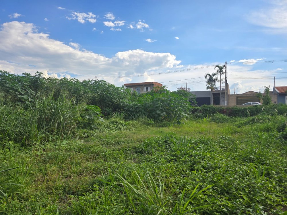 Terreno - Venda - Jardim Cristo Redentor - Ribeiro Preto - SP