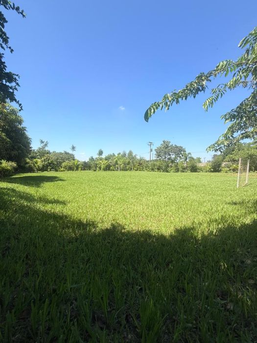 Ch�cara - Venda - Centro - Mat�o - SP