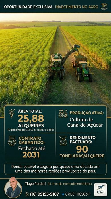 Fazenda - Venda - Rural - Pitangueiras - SP